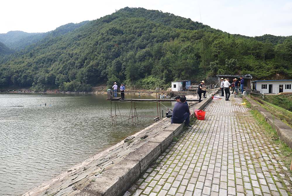 浙江新东阳建设集团有限公司