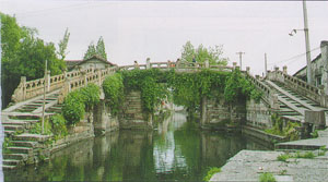 浙江新东阳建设集团