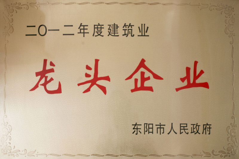 浙江新东阳建设集团
